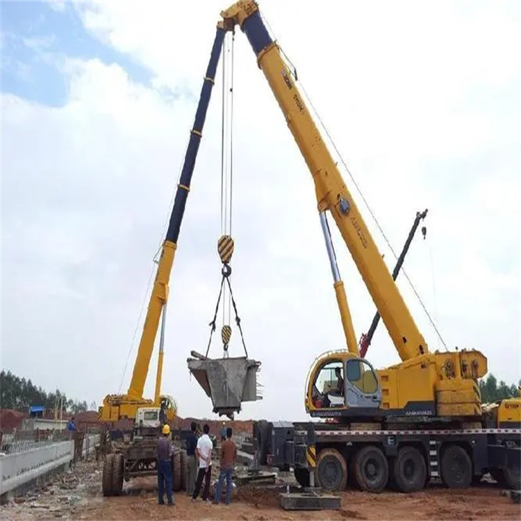 分宜小型吊机出租电话|厂房设备吊装方案|24小时服务覆盖